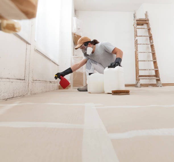 Best Basement Mold Removal  in Baltimore, OH